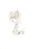 Catwoman - Hodgkins Comic Art